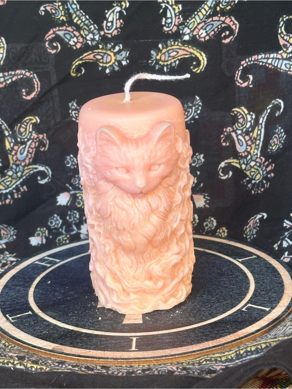 Blush Peach Cat Pillar Candle